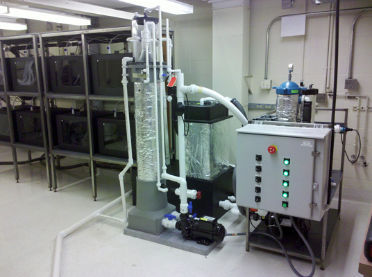 RK10-AC<br>Aquatic research system designed, built, installed by Integrated Aqua Systems, Inc. 2010<br>http://www.integrated-aqua.com/Commercial_Protein_Fractionators